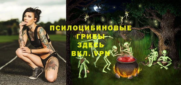 ПСИЛОЦИБИНОВЫЕ ГРИБЫ Алексин
