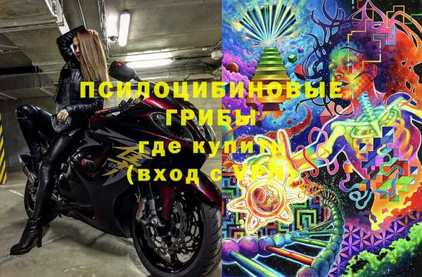хмурый Алзамай