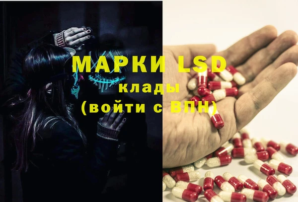 ПСИЛОЦИБИНОВЫЕ ГРИБЫ Алексин